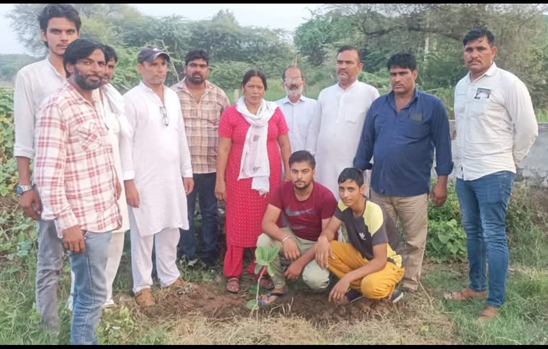 संस्थान गतिविधि 1